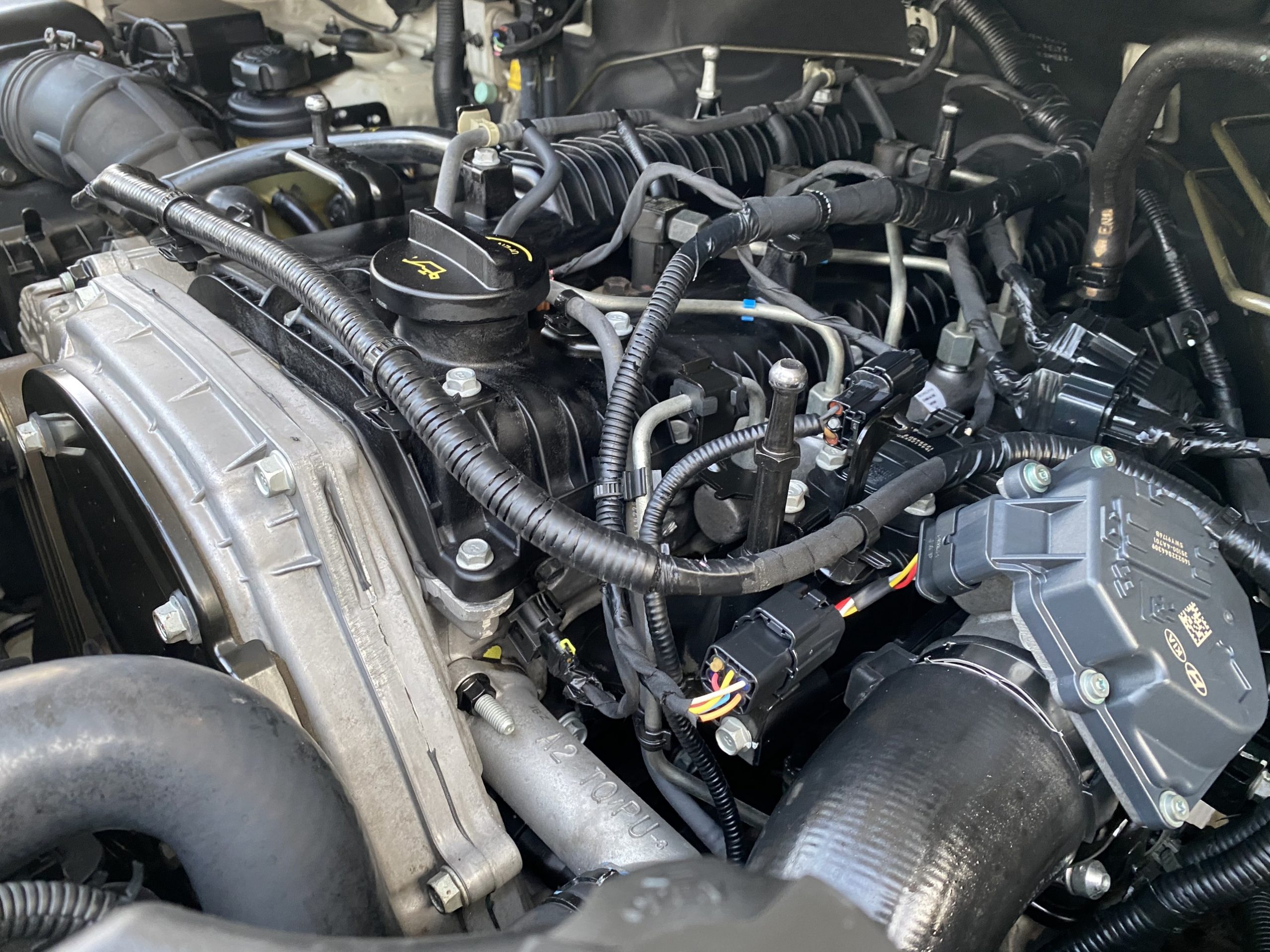 z2498273626262_c4e00f8bc139ade760970ab480cc0fdf