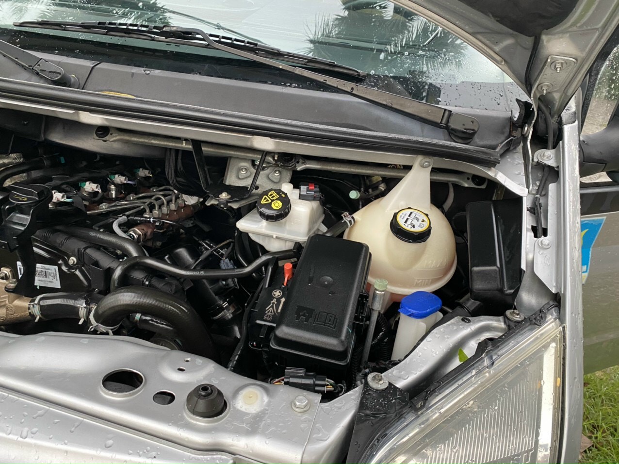 z2503659882704_ad5051995fa2a458803a19748f5c9b32