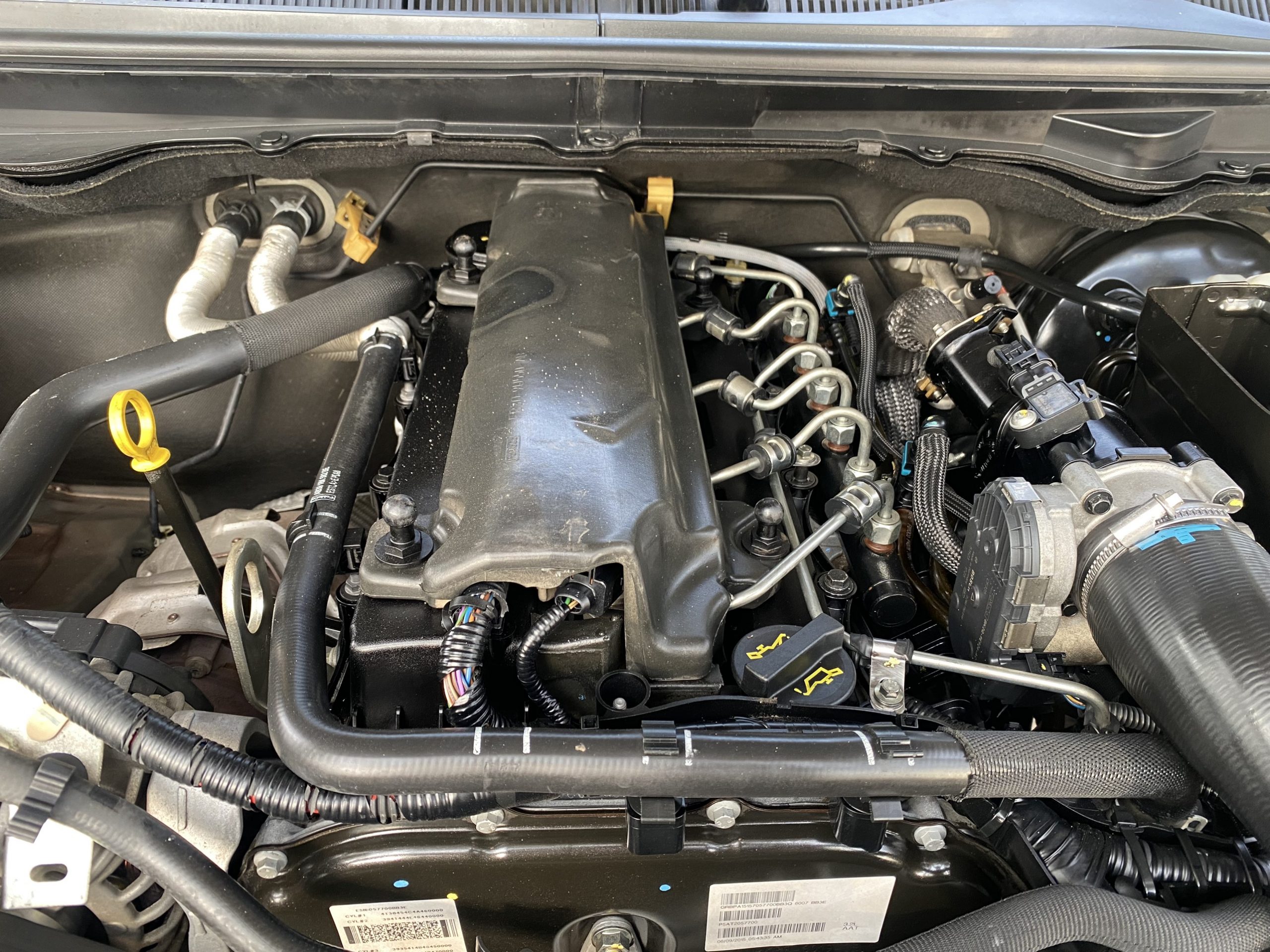 z3539869785810_95d31913e8e69509438a9d510236d688
