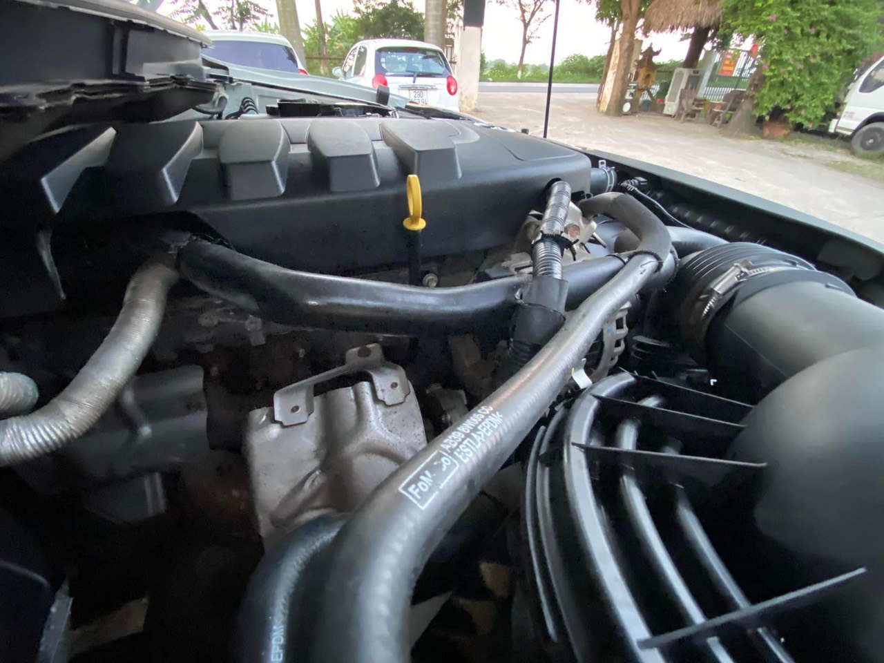 z3591931067750_838378499026cf54ece0cf27c861cbf2