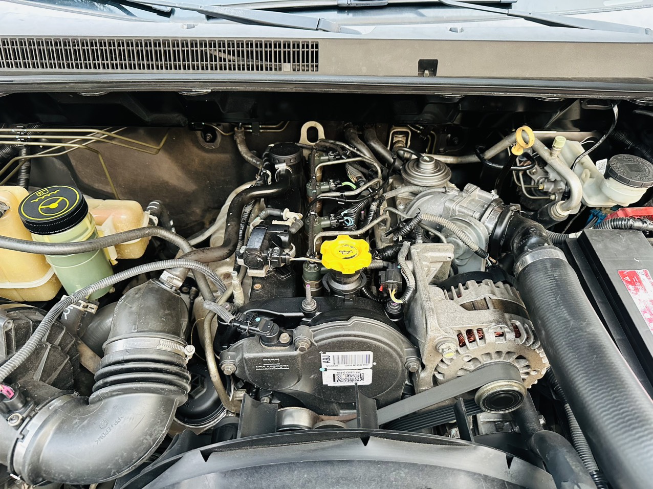 z5391760052425_46055d1b5ad0c5947210d7e14e8280f8
