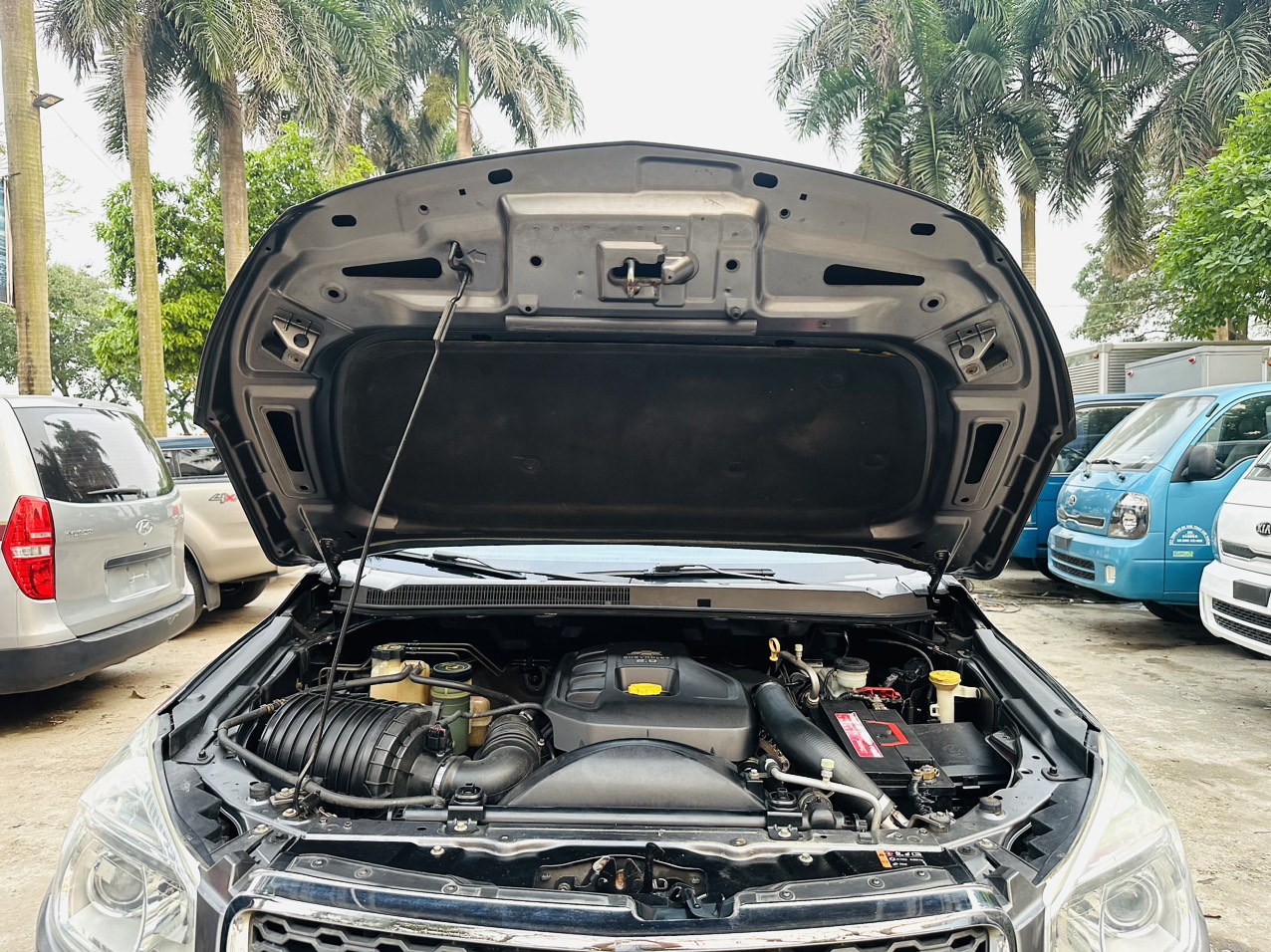 z5391760056555_53c9ca7275e246d8377c0f31d2d474ad