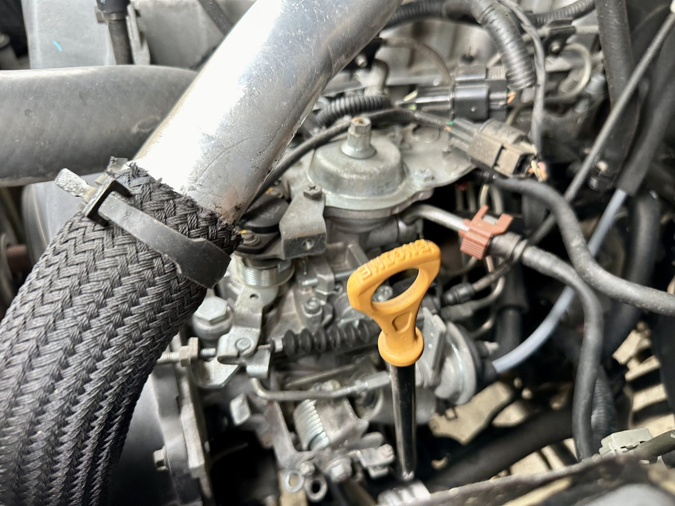 z5528592329483_215e17b319592a1e75d9768d558831ff